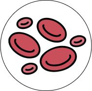 Anaemia due to nutrient deficiencies